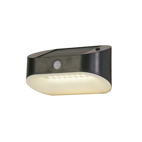Adam IP44 Black And Frosted Outdoor Infrared Solar Fitting 67421BK-PIR