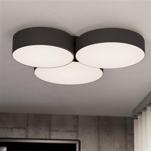 Barbano-Z LED RGB Flush Black Ceiling Light 900853