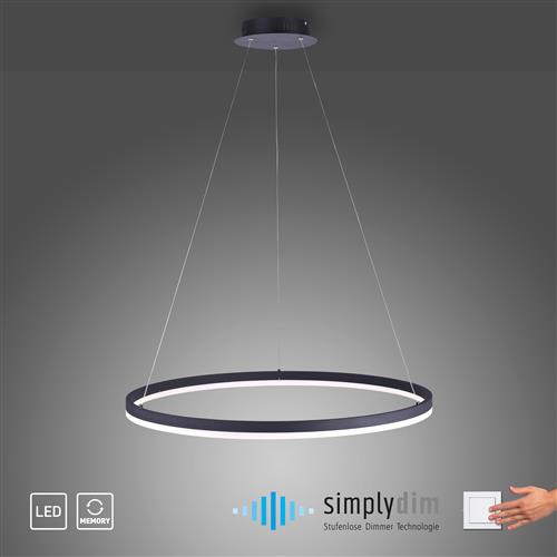 Titus Large LED Dedicated Anthracite Pendant Light 2383-13