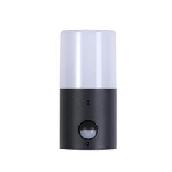 Colorado IP44 PIR Outdoor Black Wall Light 39220BK-PIR