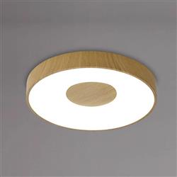 Coin Rounded Small Flush LED Ceiling Light
