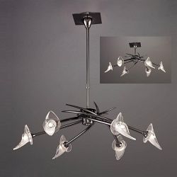 Flavia 6 Light Telescopic Convertible Fitting