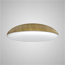Kazz Large Flush Ceiling Fitting