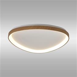 Niseko 2 LED Flush Light