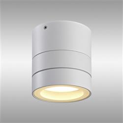 Saler IP65 Round Adjustable Wall Or Ceiling Outdoor Spotlight