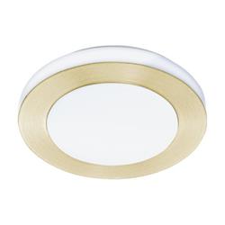 LED Capri Small Bathroom LED Wall/Ceiling Light