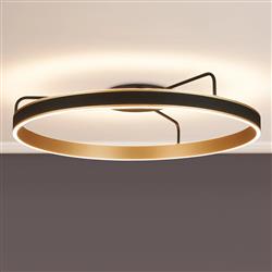 Aralia LED CCT Large Flush Light