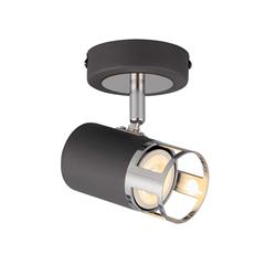 Arizona Wall/Ceiling Spotlight