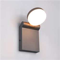 Adour IP44 LED Anthracite Outdoor Wall Light 245560142