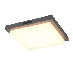 Bermejo IP54 LED Square LED Anthracite Outdoor Wall or Porch Light 630369242