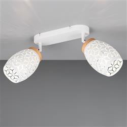 Bidar Double Ceiling Spotlights