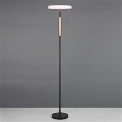 Celeste LED Floor Lamp