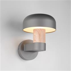 Fraser Outdoor LED Wall Lights
