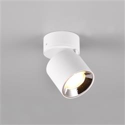 Guayana Single Ceiling Mounted And Recessed Spotlight 