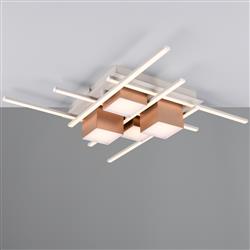 Roger CCT LED Remote Ceiling Light