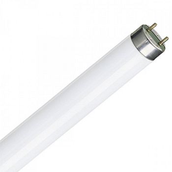 T8 30w 3ft Fluorescent Tube 05556