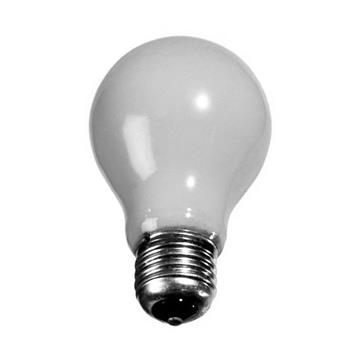 GLS ES 100w E27 Opal Lamp 03058