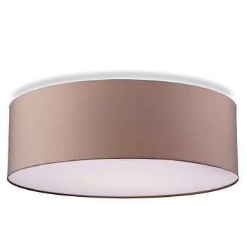 Phoenix Flush Ceiling Fitting