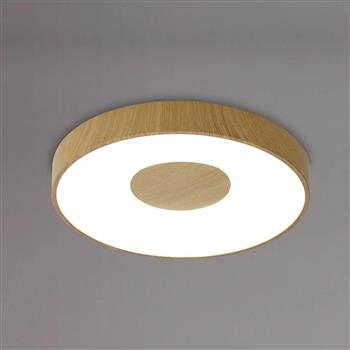 Coin Rounded Small Flush LED Ceiling Light