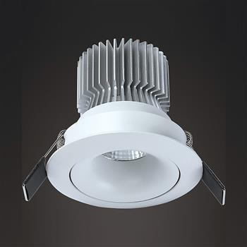 Formentera 12W Swivel LED Downlight