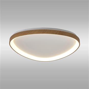 Niseko 2 LED Flush Light