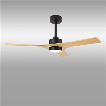 Thai LED Adjustable Summer And Winter Fan Light
