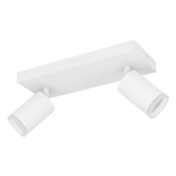 Melitello-Z LED Steel Made RGB And Tunable White Double Spotlight