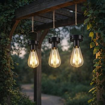 Campus IP44 LED Black Set Of Outdoor Hanging Sensor Solar Lights R35146132