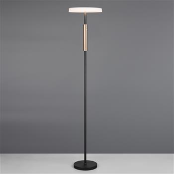 Celeste LED Floor Lamp