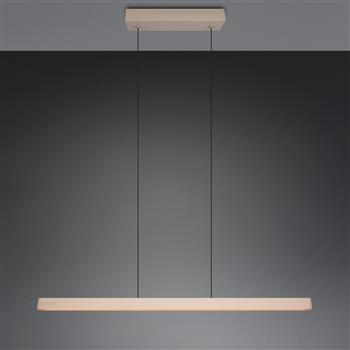 Donegal CCT LED Remote Rise and Fall Pendant