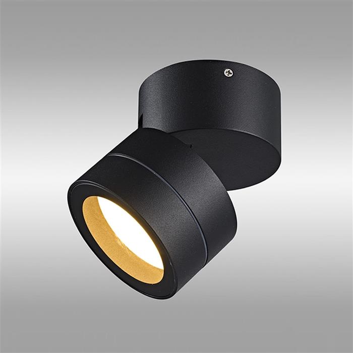 Saler IP65 Dark Grey Round Adjustable Outdoor Spotlight M9100