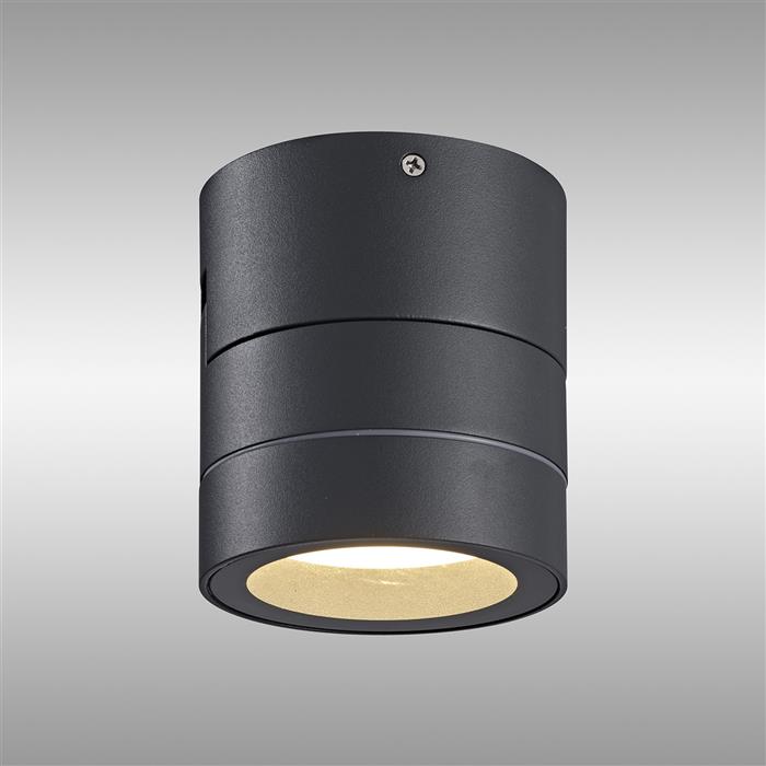 Saler IP65 Dark Grey Round Adjustable Outdoor Spotlight M9100