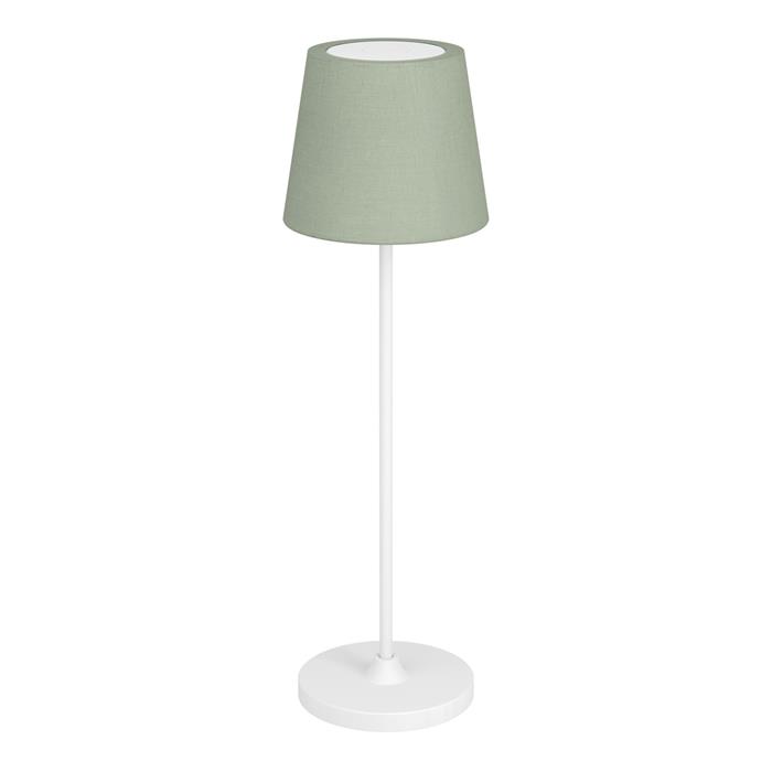 Leonero LED White And Green Shade Rechargeable CCT Desk Lamp 75936