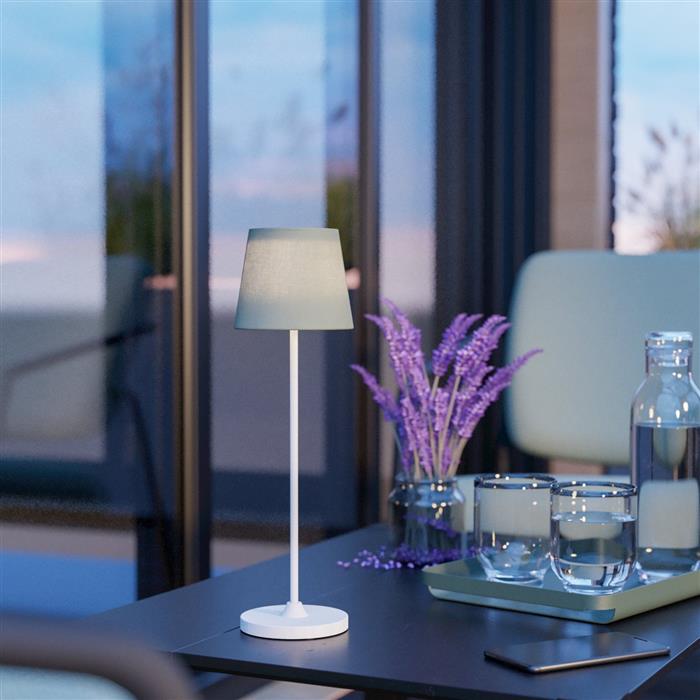 Leonero LED White And Green Shade Rechargeable CCT Desk Lamp 75936