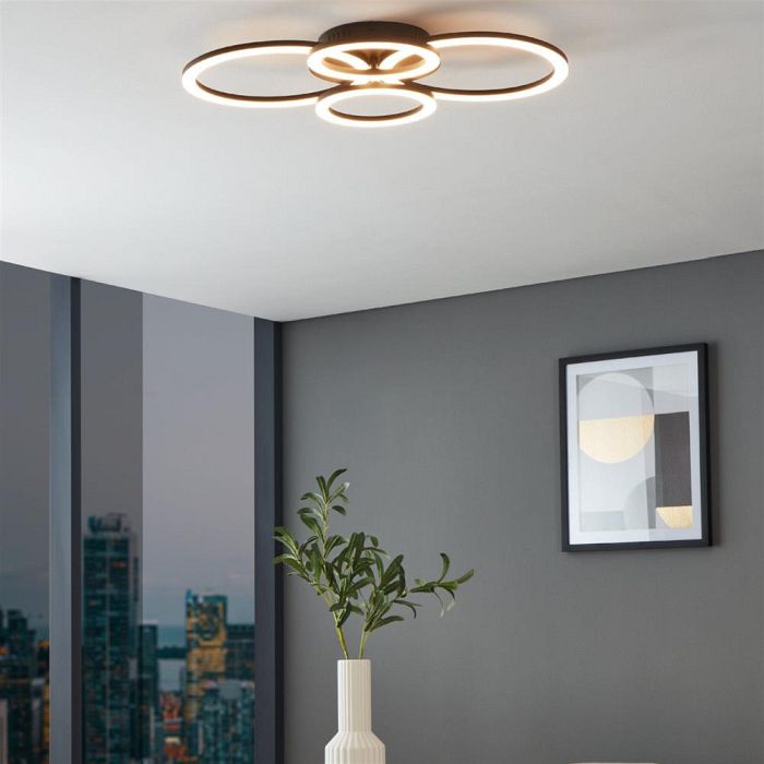 Parrapos-Z Black And White LED Four Loop Ceiling Light 900319