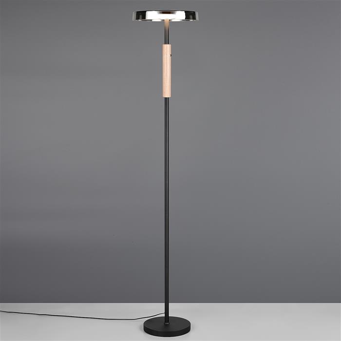 Celeste Black, Wood and Smoke Glass LED Floor Lamp 454910132
