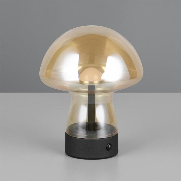Dooley LED Touch And Rechargeable Amber Table Lamp R54981113