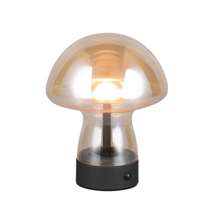Dooley LED Touch And Rechargeable Amber Table Lamp R54981113