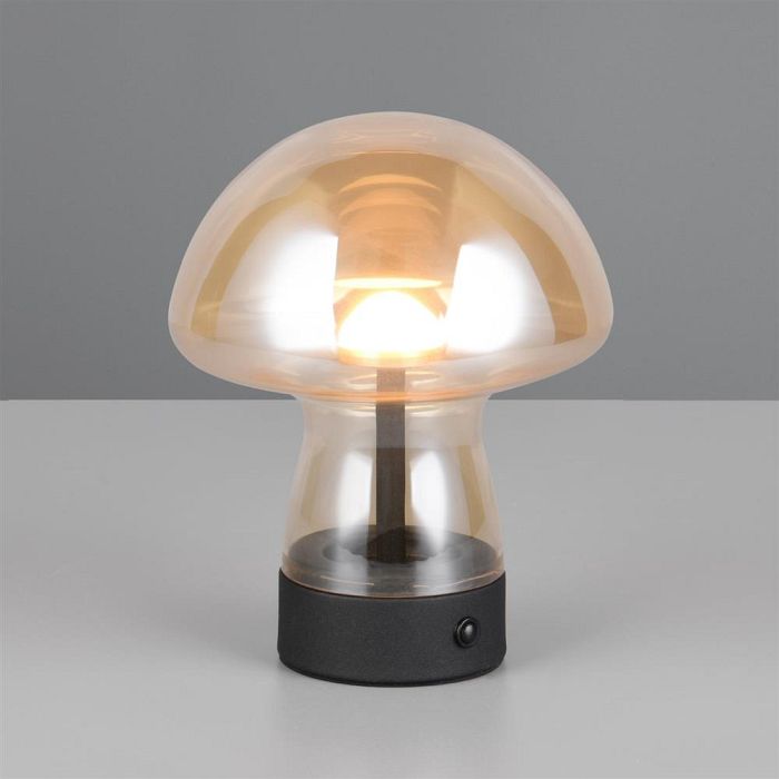 Dooley LED Touch And Rechargeable Amber Table Lamp R54981113