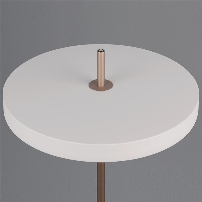 Keaton Warm Grey CCT LED Floor Lamp 440210176