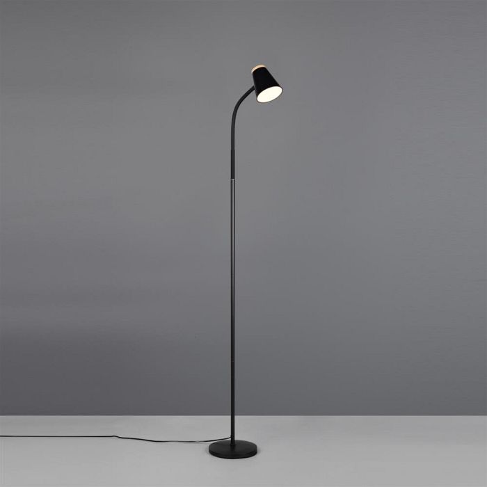 Pongo LED Floor Lamp Black Finished R45831102