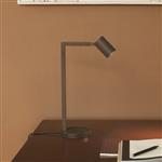 Painted Antique Bronze
