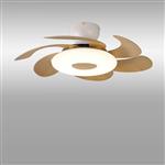 Madera Wood And White