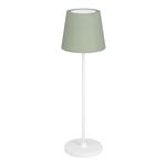 Leonero LED White And Green Shade Rechargeable CCT Desk Lamp 75936