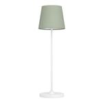 Leonero LED White And Green Shade Rechargeable CCT Desk Lamp 75936