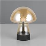 Dooley LED Touch And Rechargeable Amber Table Lamp R54981113