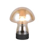 Dooley LED Touch And Rechargeable Amber Table Lamp R54981113