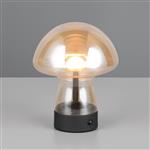 Dooley LED Touch And Rechargeable Amber Table Lamp R54981113