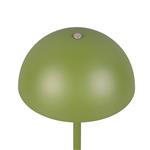 Munoz LED Touch Green Rechargeable Table Lamp R54891115