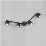 Nancy Matt Black 4 Light Adjustable Spotlight R86264032